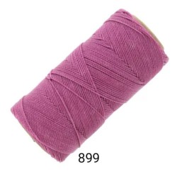 Fuchsia 899